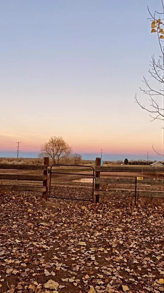 Sunset looking east over the fence