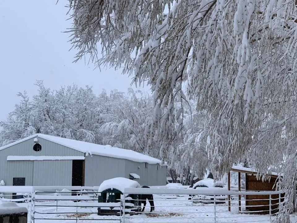 Horse pen covered in snow, barn in background